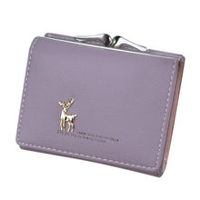 Load image into Gallery viewer, Purse Card Holder Bag